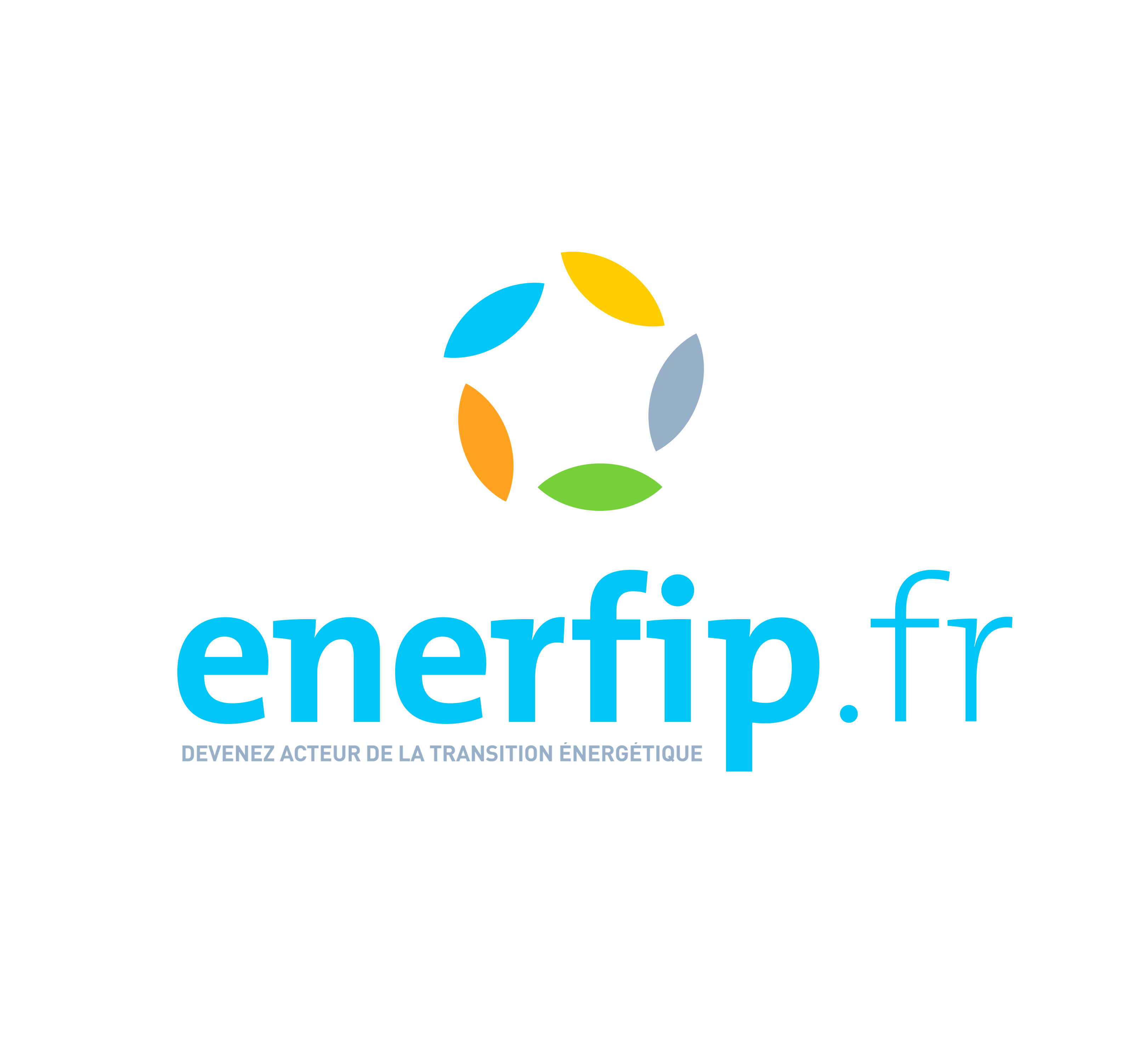 Logo ENERFIP